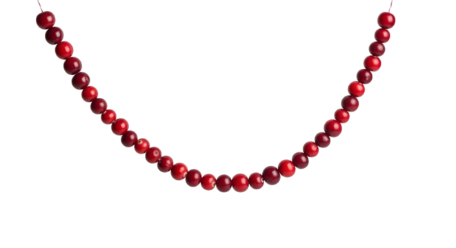 Elegant red gemstone necklace strung on a thin cord isolated on transparent background
