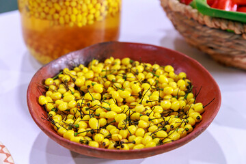 Ají charapita, a variety of chili pepper native to the Peruvian Amazon.