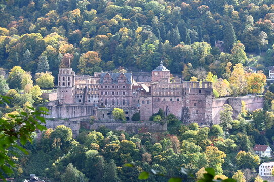 Blick auf das herbstliche Heidelberg mit der Schlo&szlig;ruine