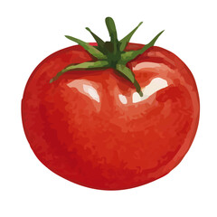 Vector watercolor vegetable / 水彩テイストのトマトイラスト