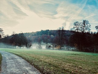 Sonnenaufgang im herbstlichen landschaftlich schönem Waldgebiet mit Nebel 