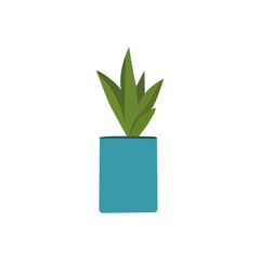 Green plant in blue pot for home decoration