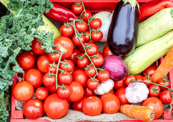 Ripe red tomatoes, eggplants, zucchini and other vegetables are sold at a farmers market