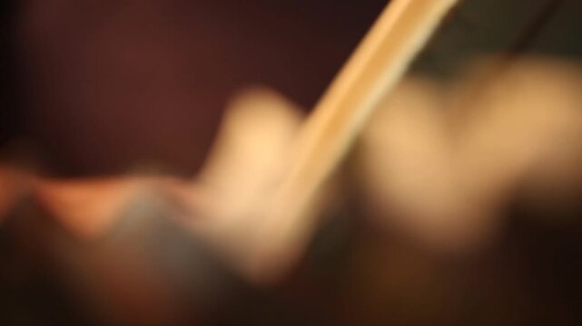 A close-up shot shows a hand pulling a file folder marked "5-22537" from a row of indexed archaeological documents on a dark library shelf.