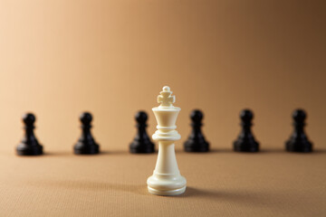 white chess figure with black pawn on a chessboard on the chessboard.