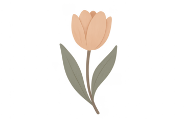 Peach colored tulip flower illustration with green leaves