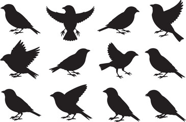 Fototapeta premium Flying Bird Silhouette Vector Set – Wildlife and Nature Icons