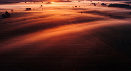 Aerial view of a landscape covered in thick fog with the sun rising in the background above trees ai generated