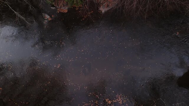 Langsamer Drohnen Flug - Luftaufnahme - &uuml;ber dem herbstlichen Wald