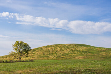 hill side grass land sky background landscape nobody