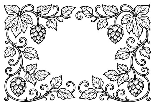 Decorative hops and vine frame, botanical vintage border illustration for labels or design.