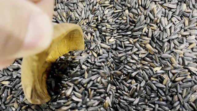 Close-up view of a wooden scoop picking Nyjer Seeds