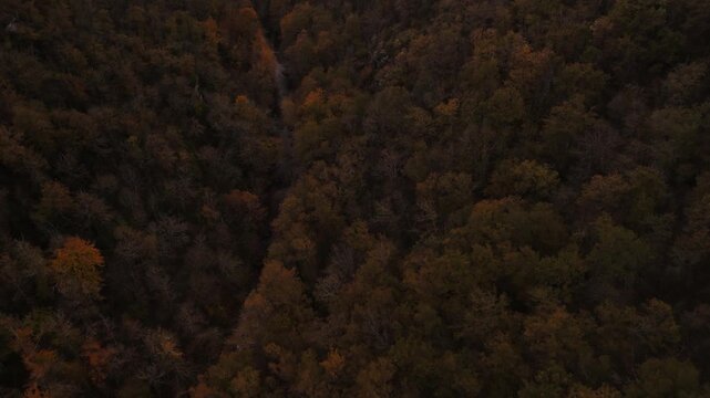 Langsamer Drohnen Flug - Luftaufnahme - &uuml;ber dem herbstlichen Wald