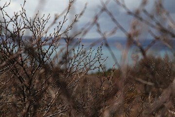 Landschaft auf Island im Pingvellir National Park