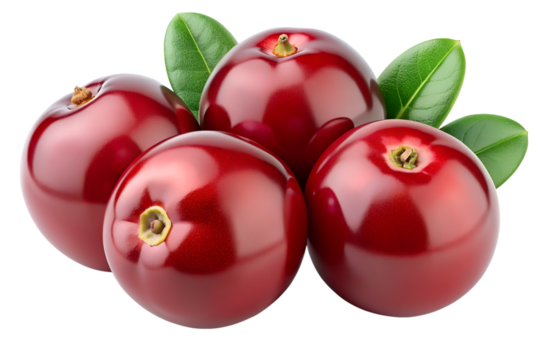 cranberries isolated on transparent white background full depth of field clipping path 