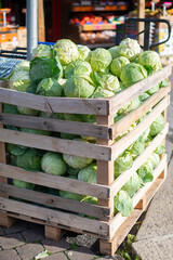 Big Bunch of Organic Green Cabbage in Boxes at Farmers Market