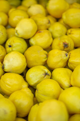Quince fruits, pile of ripe yellow quince as a background in the farmers market.