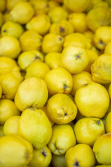 Quince fruits, pile of ripe yellow quince as a background in the farmers market.