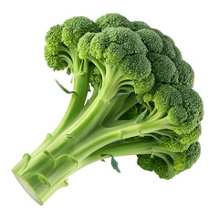 broccolis isolated on transparent white background full depth of field clipping path 