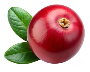 red cranberries isolated on transparent white background full depth of field clipping path 
