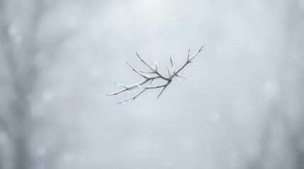 Obraz premium Branch covered in frost hangs against a foggy white background during a cold winter morning