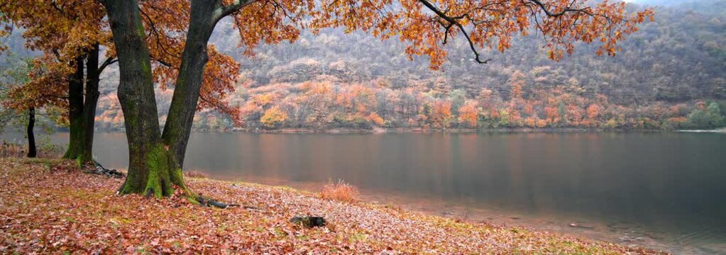  Anamorphic Lens - Foliage on Lake Ghirla in the Ganna Valley