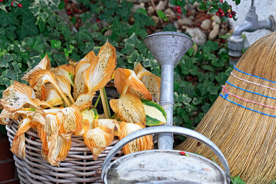 Ende der Gartensaison mit Funkienbl&auml;ttern, Gie&szlig;kanne und Strohbesen