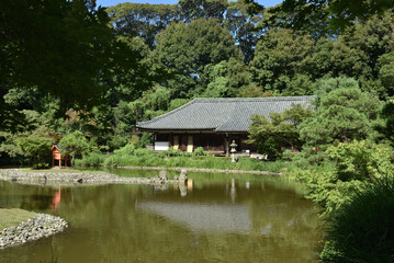 Fototapeta premium 夏の浄瑠璃寺 本堂と庭園(京都府木津川市)