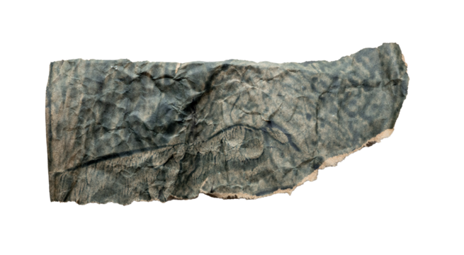 Fragmento de papel envejecido con dibujo de un ojo sobre fondo negro