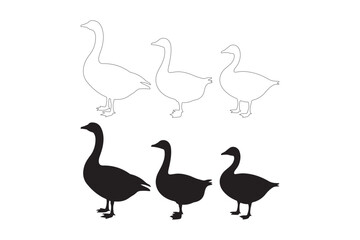 Fototapeta premium Three geese silhouettes and outline drawings