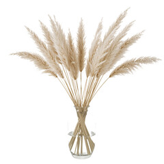 Pampas Grass Bouquet Clear Glass
