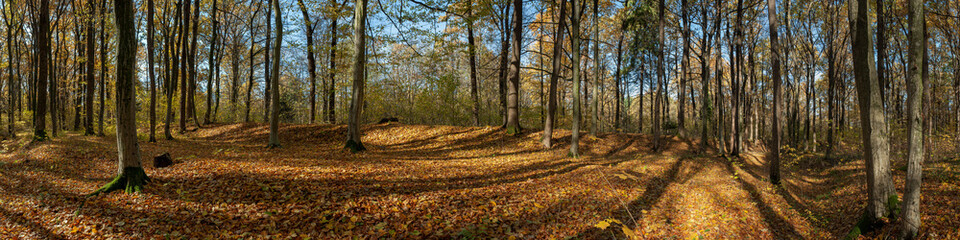 Panoramic nature landscape, soft pastel colors, dream nature, sunset autumn background, peaceful amazing nature panorama
