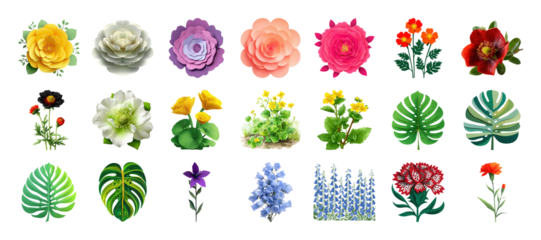 Diverse collection of floral illustrations including flowers and leaves, isolated individually on transparent background