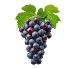 Fototapeta premium Fresh Bunch of Dark Purple Grapes With Green Leaves on a White Background