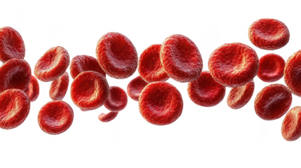 Flowing red blood cells isolated on transparent or white background