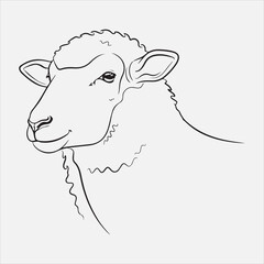 Beautiful Sheep head line art vector design