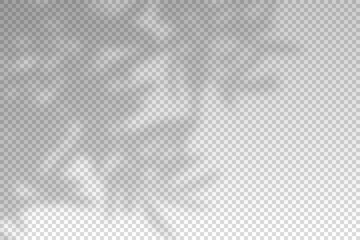 Shadow tree leaf. Overlay shade plant leaves. Sun rays reflection from flowers. Reflected shades plants isolated on background for summer design. Soft reflect light from branches. Vector illustration