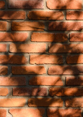Red Brick Wall with Lacy Leaf and Branch Shadows in Autumn Light