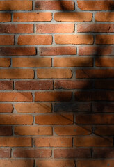 Red Brick Wall as Background with Leaf and Branch Shadows in Fall