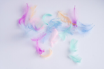 Obraz premium Close-up of soft colored fluff on a white background