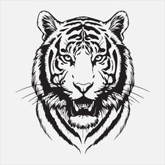 Beautiful tiger head line art vector design