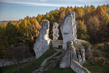 Limestone rocks near Ogrodzieniec Castle 4
