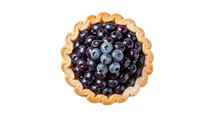 Delicious homemade blueberry tart with a flaky crust and sweet filling, a perfect treat to share with your loved ones.