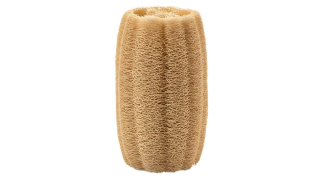 An eco-friendly loofah on a transparent background, offering a natural and sustainable exfoliating solution for skin care. - Powered by Adobe