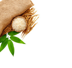 Rice Grains and Paddy with Sack on Transparent Background