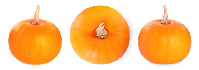 Fresh ripe pumpkins isolated on white, collage