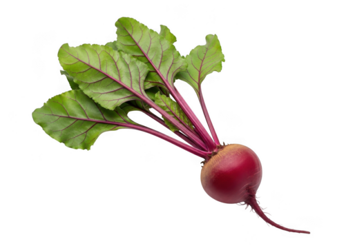 A fresh beetroot with green leaves and a red root, isolated on transparent background
