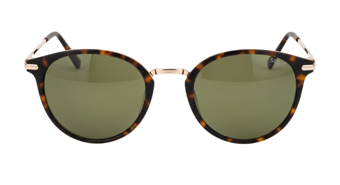 Elegant tortoiseshell pattern sunglasses with golden hinges, designed for a touch of retro charm and modern style.