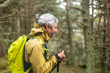 Hiker exploring lush forest with bright green backpack