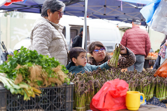 Family shopping at a vegetable fair in the open market